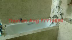 Soleil @ Sinaran (D11), Condominium #88391442